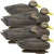 Higdon Legacy Magum Black Duck