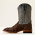 Riverside Wide Square Toe Cowboy Boot in Chocolate Bass by Ariat