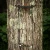 One Stick Aider by Tethrd