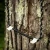 One Stick Aider by Tethrd