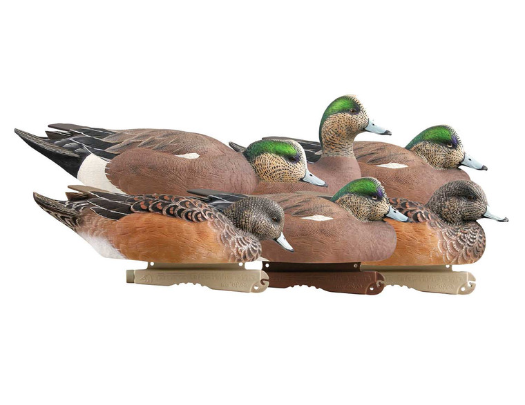 6 Pack GHG Pro Grade Static Widgeon Duck Decoys by Avery