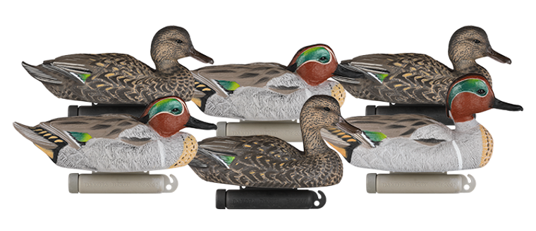 6 Pack X Treme Greenwing Teal Duck Decoys by Dakota Decoy Company