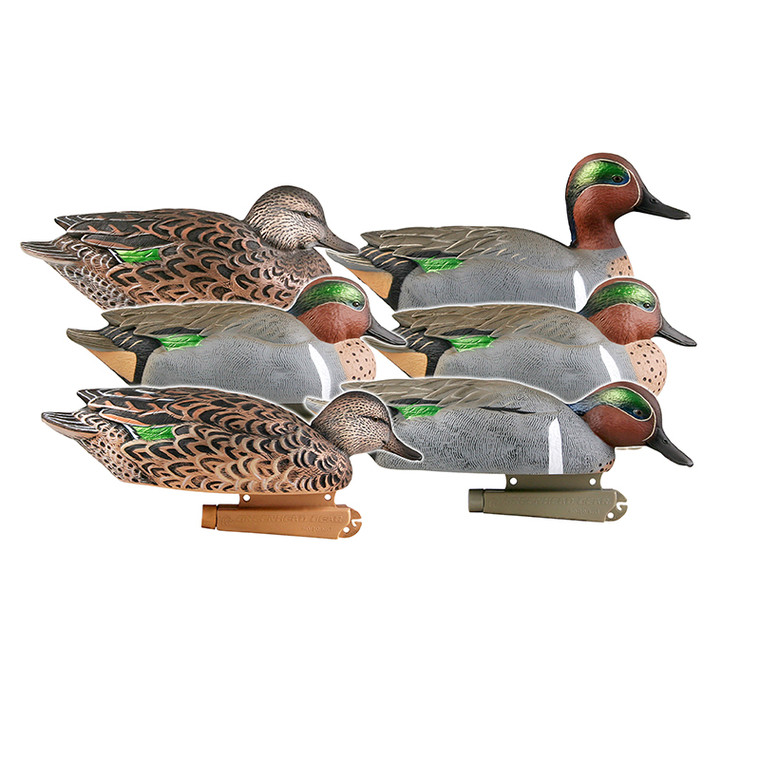 6 Pack Pro Grade Green Winged Teal Static Decoys by Avery