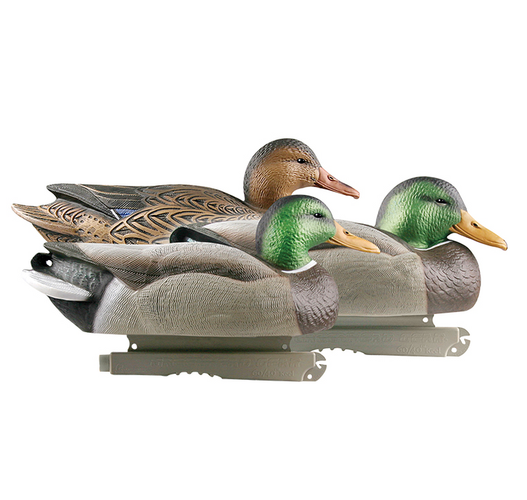 Avery Life-Size Mallards-6pk