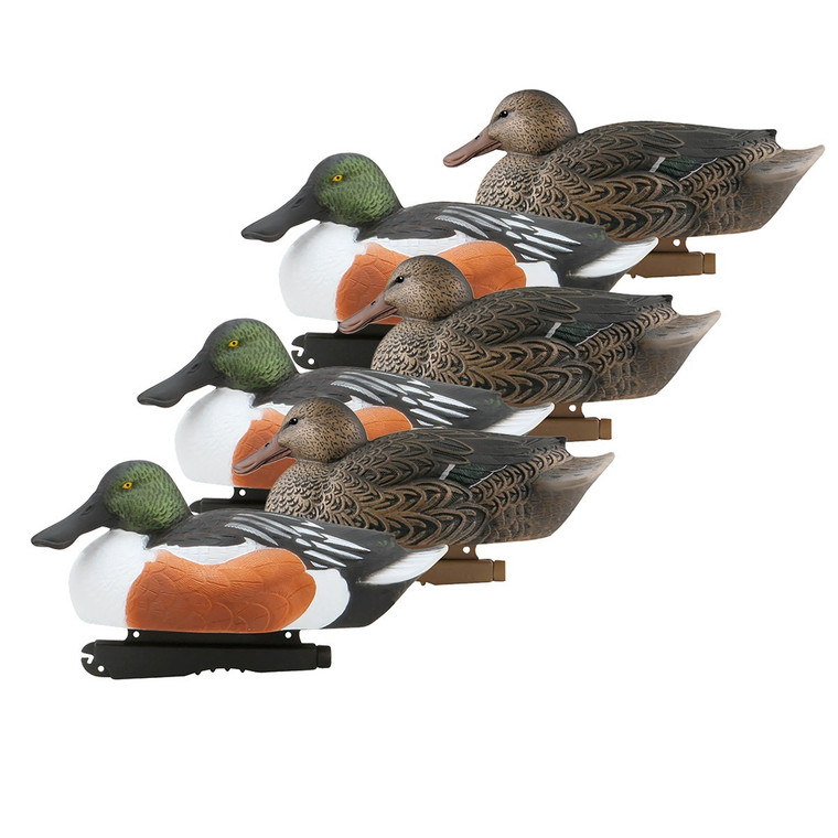 6 Pack GHG Over Size Shoveler Duck Floater Decoys by Avery