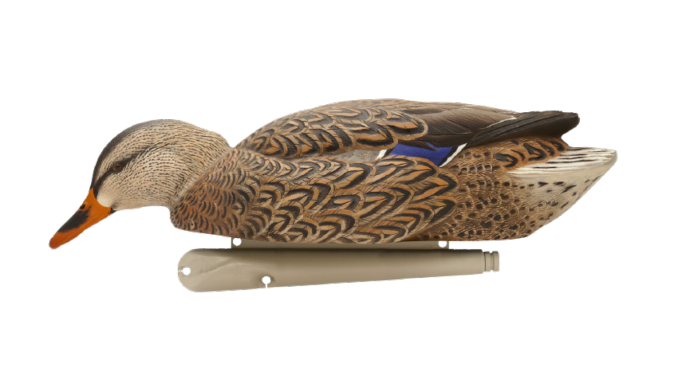 Avian-X TopFlight Back Water Mallard Decoy-6pk