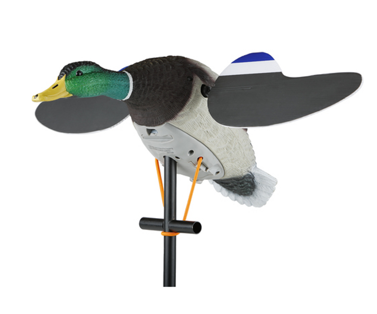 Lucky 6 Volt Drake Junior II by Lucky Duck