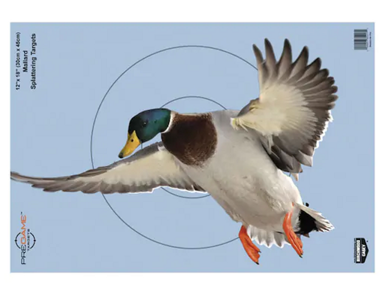 12 x 18 Inch Pregame Duck Reactive Target by Birchwood Casey