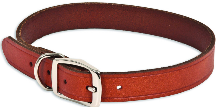 Ruff Max Dog Collar 1"x22" BRN