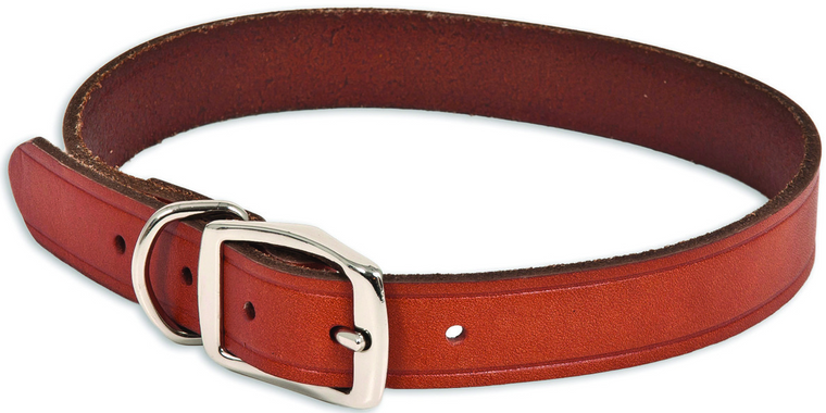 Ruff Max Dog Collar 1"x24" BRN