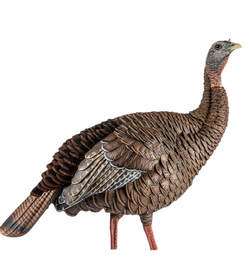 HDR Hen Decoy by Avian X- neck up