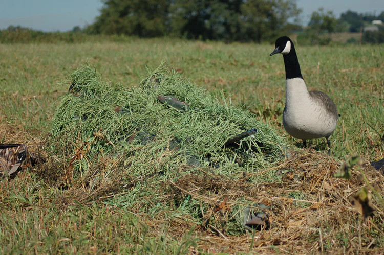 Killer Wheat Style Golden Harvest Layout Blind Kit by Avery