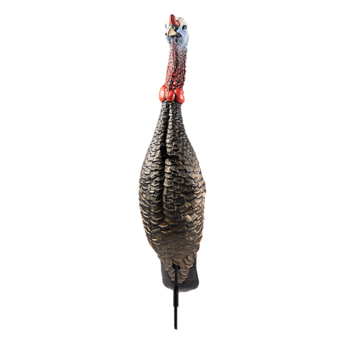 Gen 2 Funky Chicken Static Turkey Decoy by Flextone