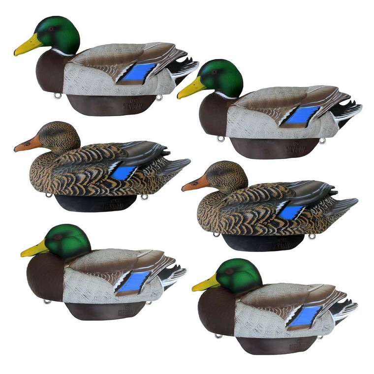 6 Pack of HydroFoam Mallard Drake Decoys by Heyday