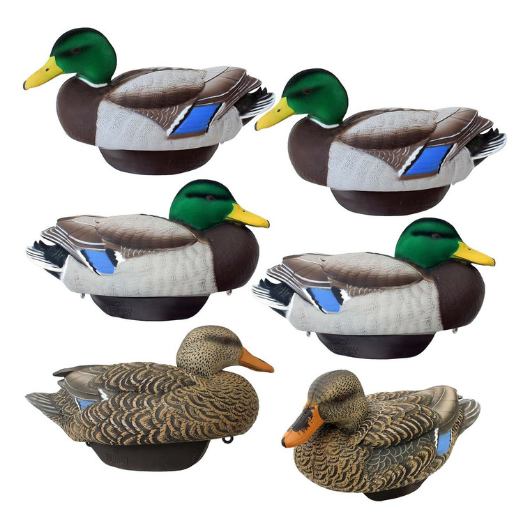 6 Pack of HydroFoam Flocked Mallard Drake Decoys by Heyday