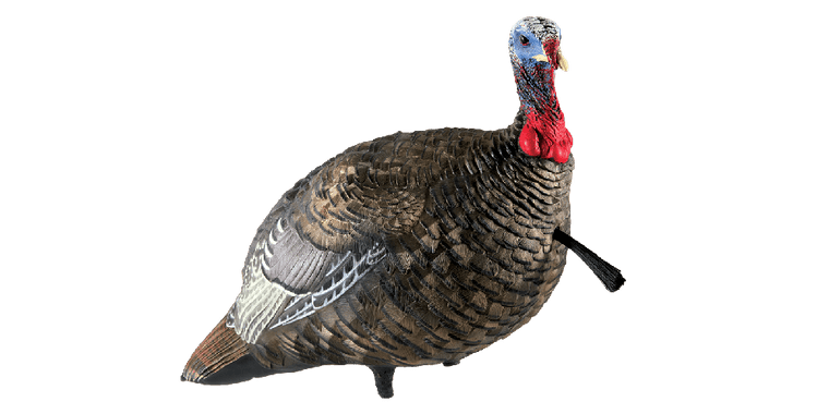 LCD Lifelike Collapsible Decoy Jake Quarter Strut Turkey Decoy by Avian-X