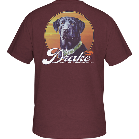 Vintage Dog Short Sleeve Tee by Drake Waterfowl