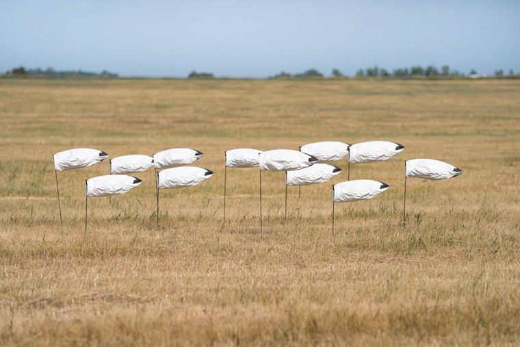 GHG Pro-Grade Sock Snow Goose No Head Decoys 12 pack by Banded