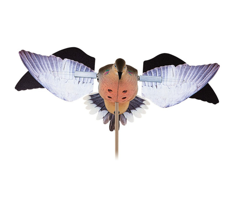 Spinning Wing Powerflight Dove Decoy by Avian X Spinning Wing Powerflight Dove Decoy by Avian X