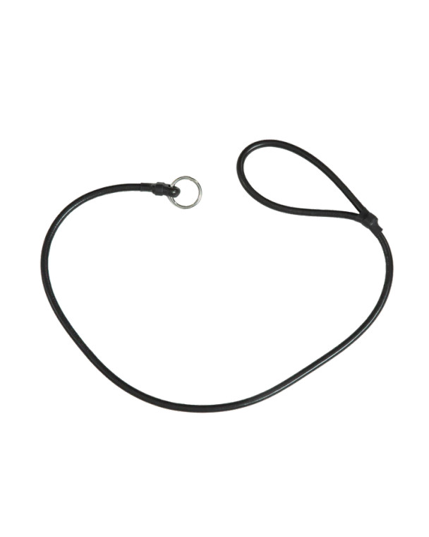 Lead Style Poly Slip Dog leash by Avery