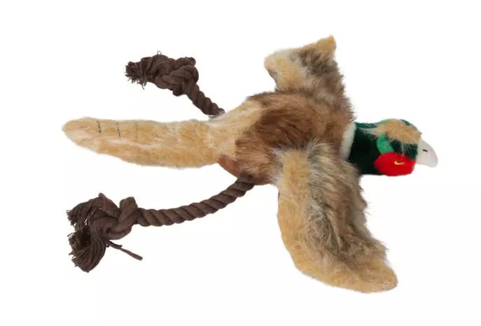 Large Dog's Best Friend Pheasant Duck Plush Toy by Avery