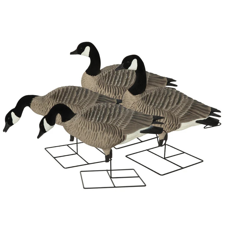 4 Pack Pro Grade XD Full Body Honker Canadian Harvester Goose Decoys by Avery