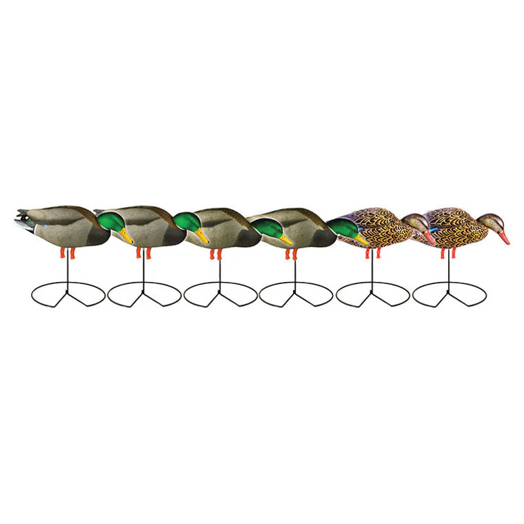 GHG Pro-Grade Full Body Feeder Pack of Flocked Head Mallard Decoys by Banded