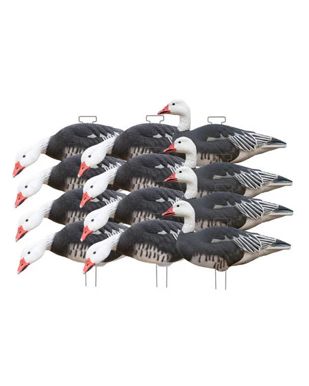 GHG Pro-Grade Silhouette Blue Goose Decoys 12-Pack by Banded