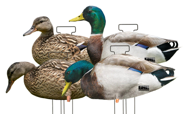 4 Pack GHG Pro Grade FFD Silhouette Mallard Duck Decoys by Avery