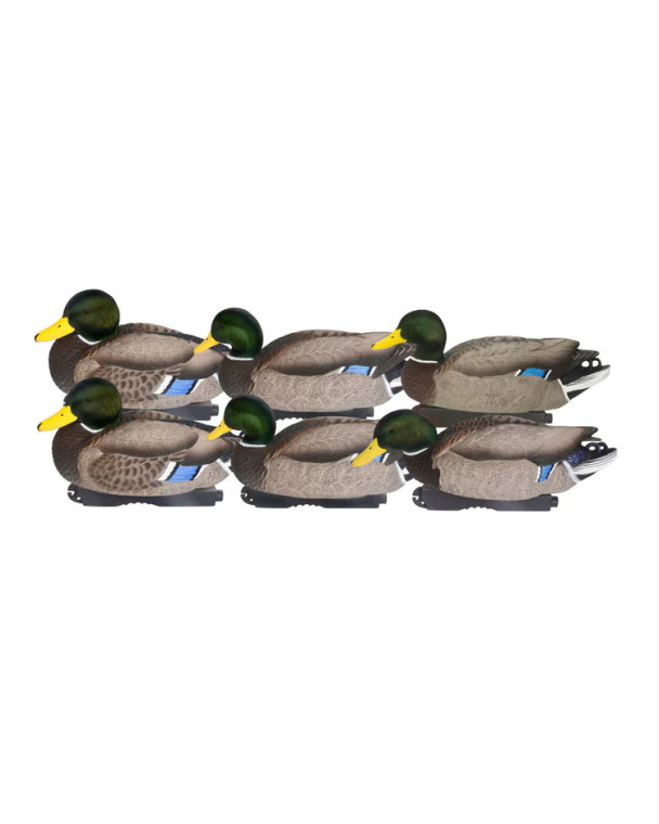 6 Pack GHG Pro Grade XD Series Mallard Drake Decoys with Flocked Heads by Avery