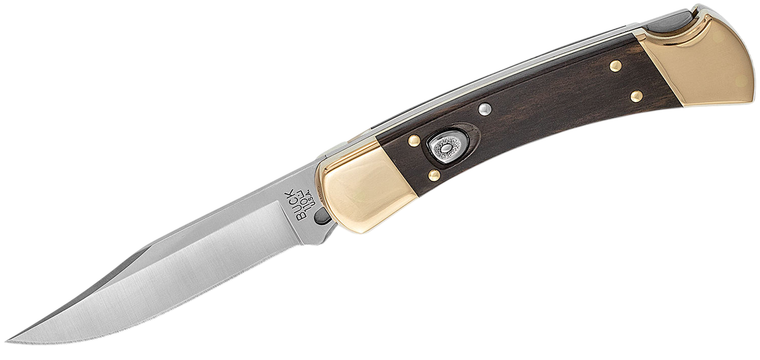 110 Auto 3.75" Blade Folding Hunter Knife by Buck Knives