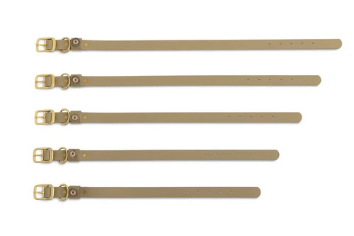 Biothane Dog Collar from HeyBo