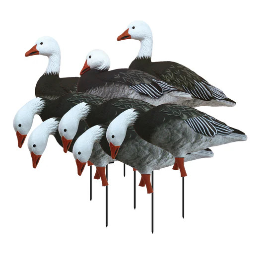 APEX Full-Size Full-Body Blue Goose Decoy 8-Pack by Higdon Outdoors