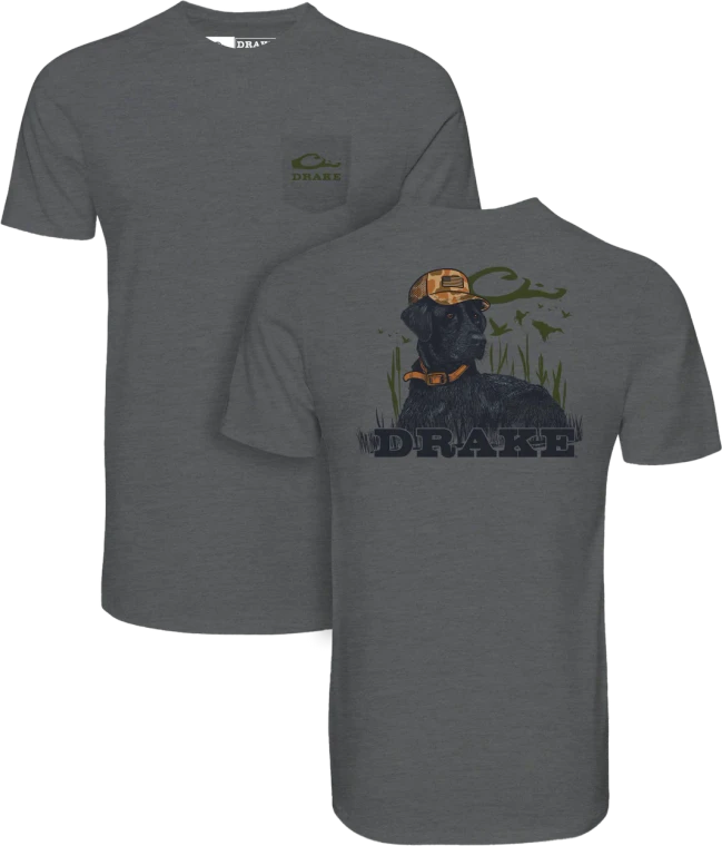 Men's Lab Lounging Short Sleeve Graphic Tee Shirt by Drake