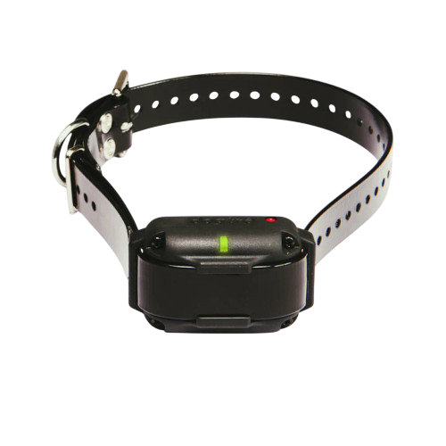 Edge RT Additional Receiver by Dogtra