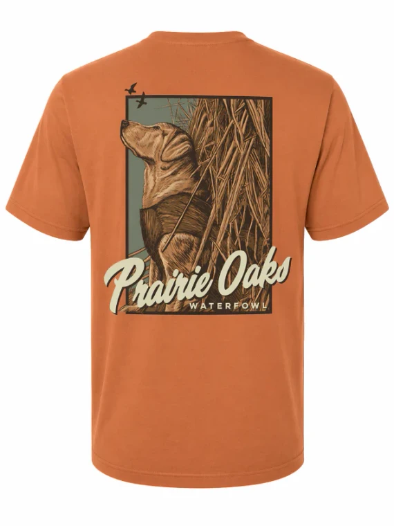 Yellow Lab In Blind by Prairie Oaks