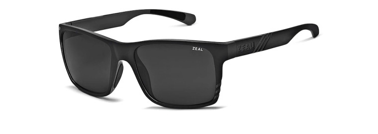 Brewer Sunglasses with Matte Black Frames and Dark Grey Lenses by Zeal
