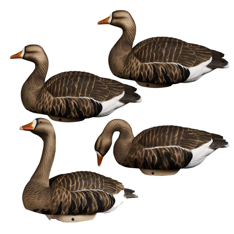 HydroFoam Specklebelly Floater Decoy 4 Pack by Lifetime