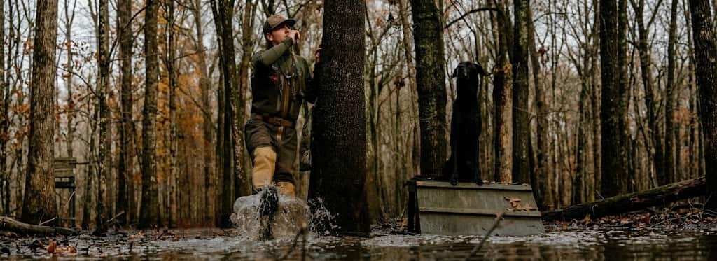 Duck hunter in Sitka Gear calling in flooded timber beside a Lab on a dog stand
