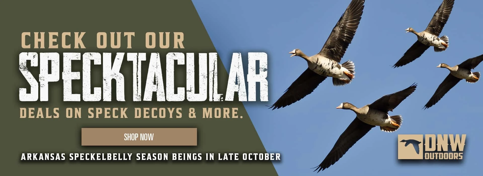 Spectakcular Deals: Save Big on Select speck deocys