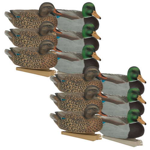 Essential Series Mallards - 1 Dozen
