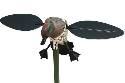 Mojo Green Wing Teal