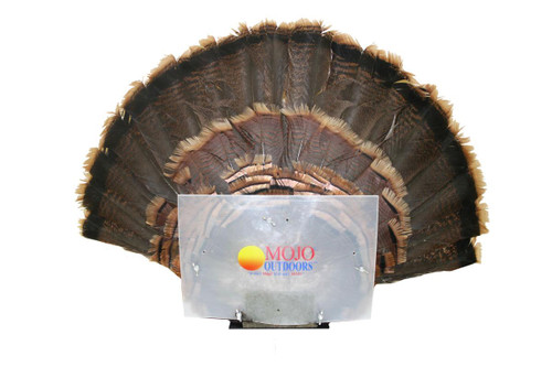 Fan Press