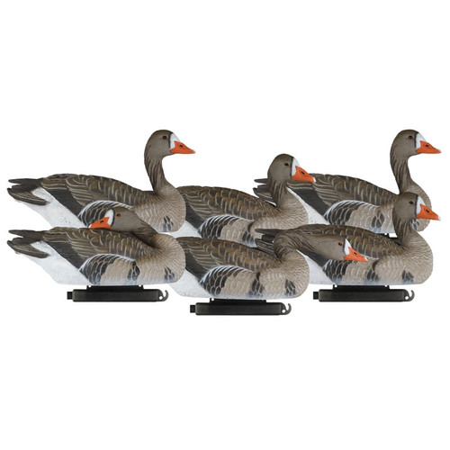 X-Treme Specklebelly Goose Decoys 6 Pack by Dakota Decoy Company featuring durable, realistic Speck decoys with self-righting keels and versatile one-piece construction. Ideal for waterfowl hunters targeting Specklebelly geese, these decoys include a variety of lifelike poses such as sentry, low-relaxed, aggressive searcher, and sleeper, ensuring a natural spread. Built to withstand tough field conditions with Dakota Tuff technology and made from a high-quality EVA blend material. Perfect for water and field hunting. Available from Dakota Decoy Company.