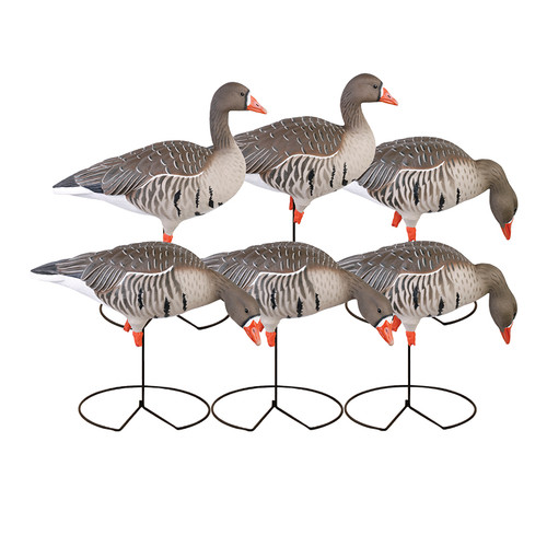 Avery 71852 Pro-Grade Full Body Specklebelly Goose Decoys – Realistic full-body decoys with lifelike feathering and vibrant coloration designed to attract specklebelly geese. Durable construction for harsh hunting conditions, perfect for fields, marshes, and flooded timber. Pack of six decoys for enhanced visibility and natural appearance in your waterfowl spread. Ideal for serious hunters looking for high-quality, long-lasting decoys.