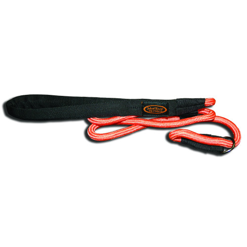 24" Nylon Dog Lead