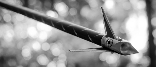 100gr Hydroshock Pivoting 3 Blade Broadhead by Ramcat