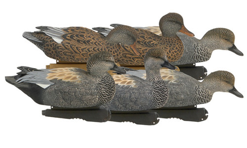 Avery GHG Pro-Grade Gadwall Decoys 6 Pack by Banded
