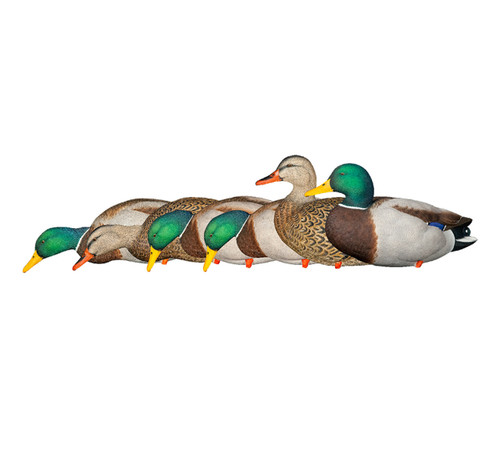 AXP Full Body Fusion Mallard Decoys 6 Pack by Avian-X