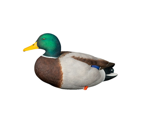 AXP Full Body Fusion Mallard Decoys 6 Pack by Avian-X
